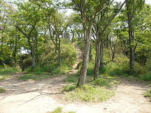 Iimoriyama Castle