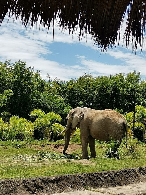 Ukumarí Biopark