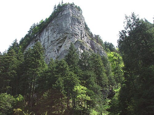 Kościeliska Valley
