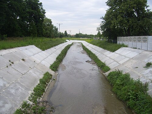 Jasień