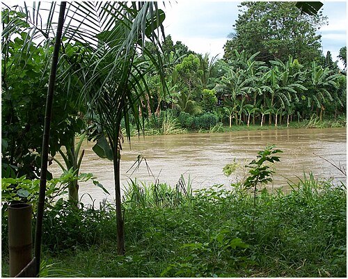 Davao River