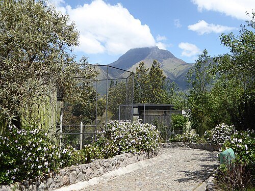 Parque Cóndor