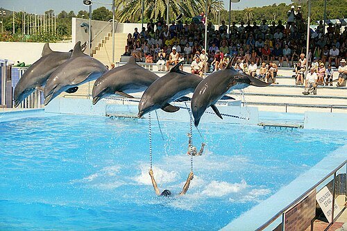Marineland Mallorca