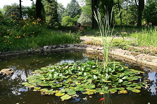 Botanical garden in Zabrze