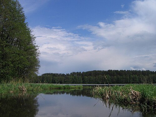 Varėnis