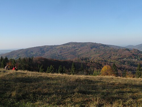 Orłowa