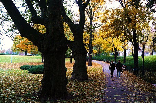 Park Adama Mickiewicza w Poznaniu