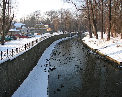 Pszczynka