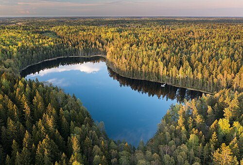 Bisajärvi