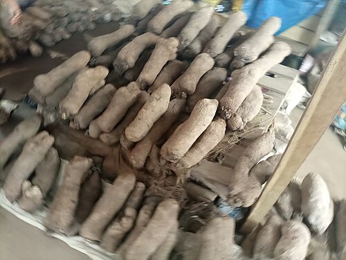 Agoè-Assiyéyé Market