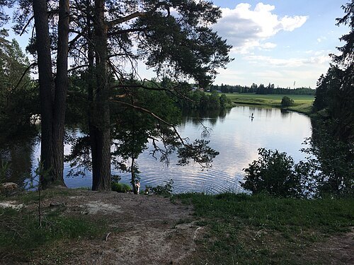 Mustijoki