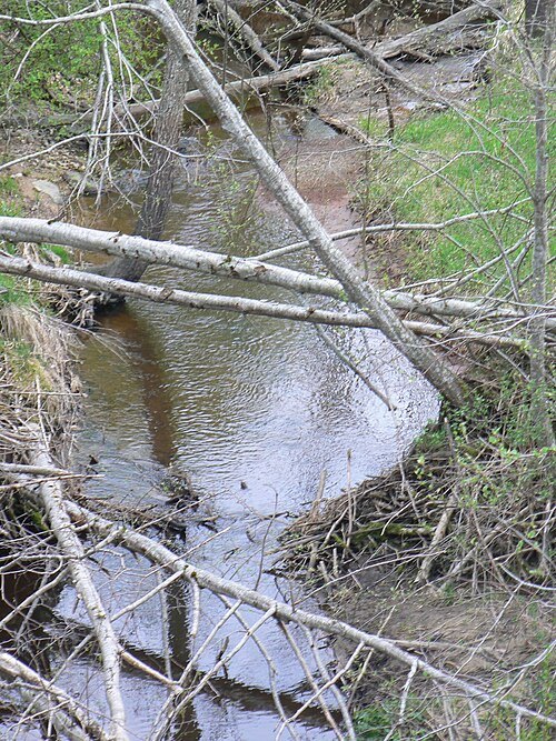 Vieštovė