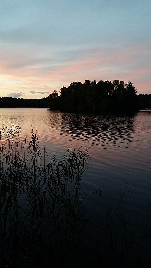 Tohloppi