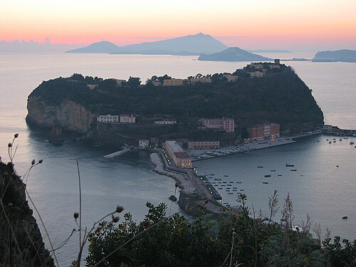 尼西達島