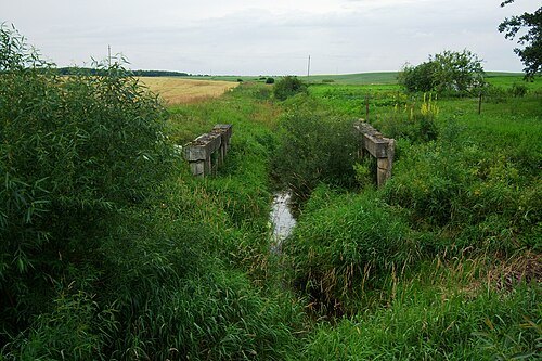 Vyčius