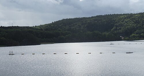 Gillsvannet