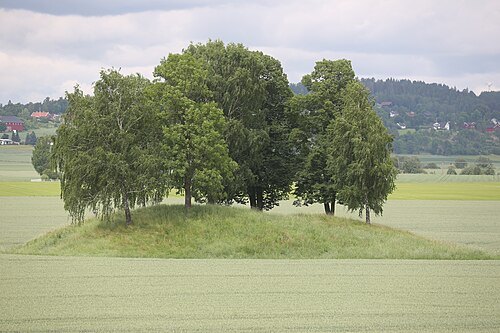 Halvdanshaugen