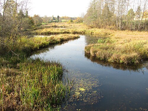 Vyžuona