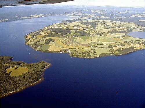 Røyse