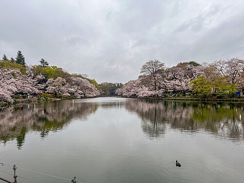 井之頭恩賜公園