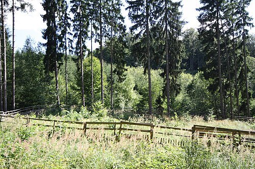 Habří (Horní Smrčné)