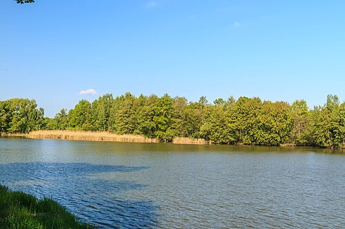 Hluboký rybník