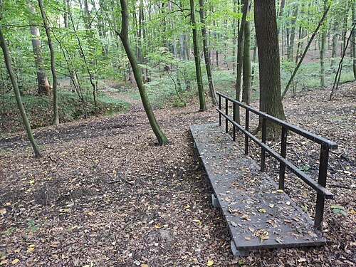 Nature Reserve Hněvošický háj