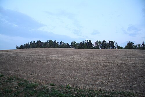 Hrbovský vrch
