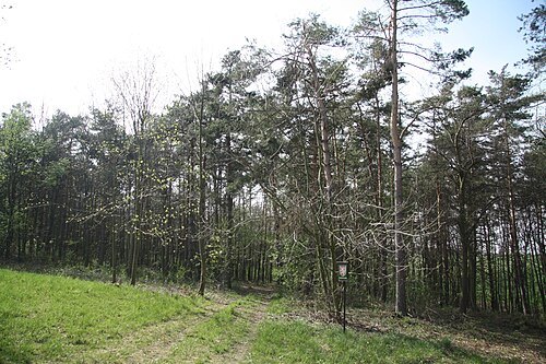 Hájky