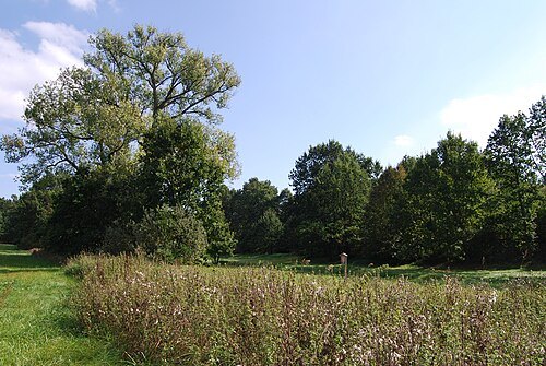 Kopáčovská