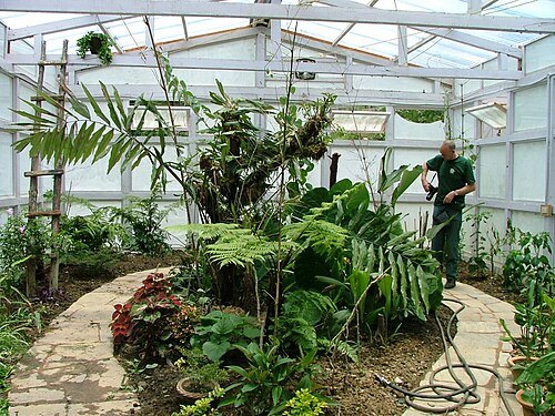 Royal Botanical Garden