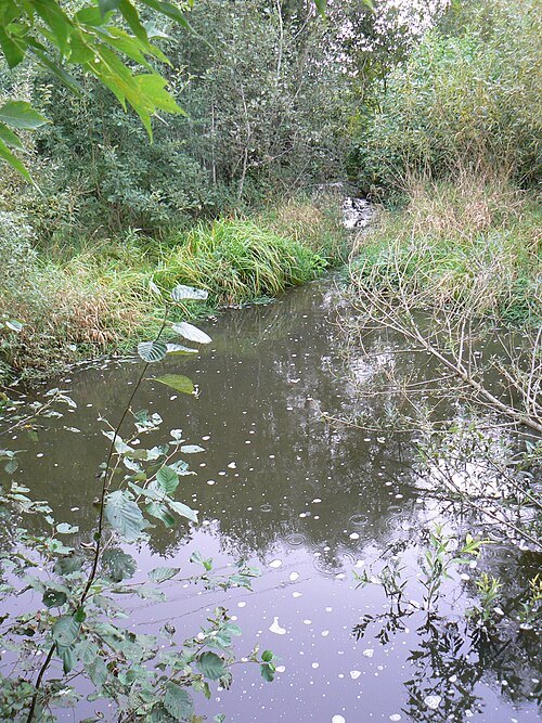 Malūndaubė