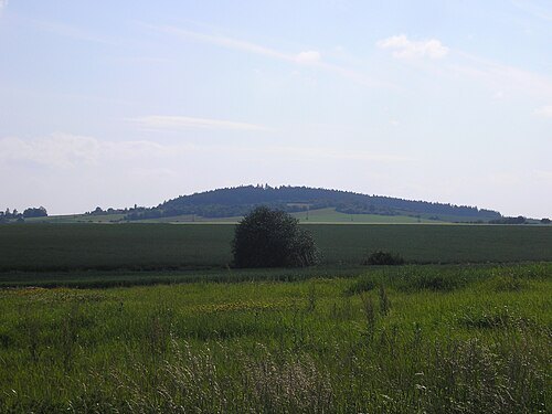Mikulovická hora