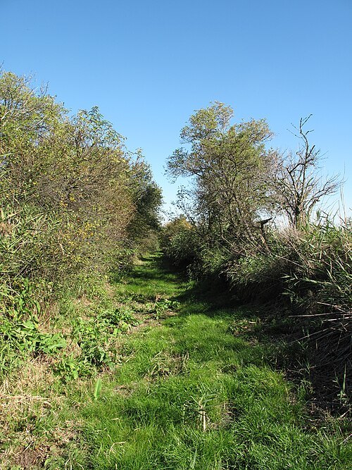 Netřebská slaniska