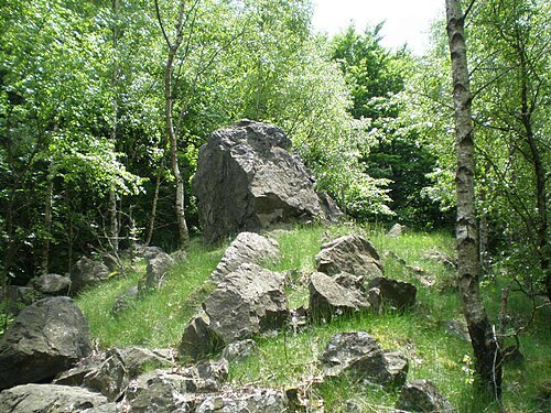 Palcíř