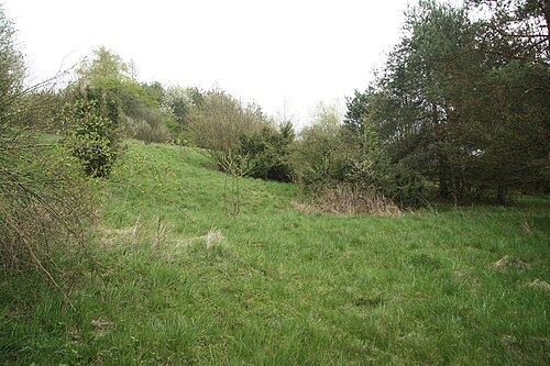 Prosenka