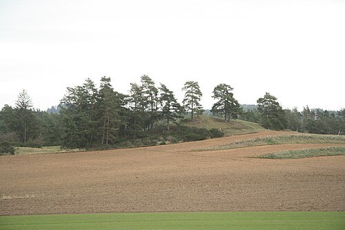 Ptáčovský kopeček