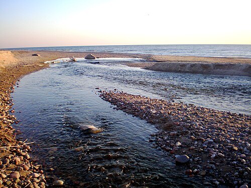 Rikinė