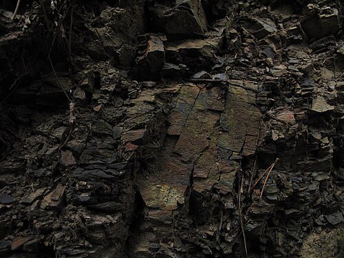 Sutice (natural monument)