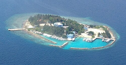 Dunidu