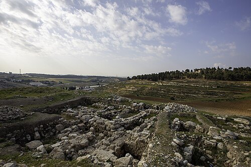 'Umayri