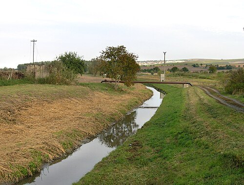 Trkmanka