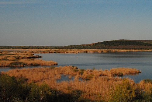 Reserva natural de Srébarna