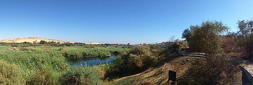 Saluga and Ghazal islands