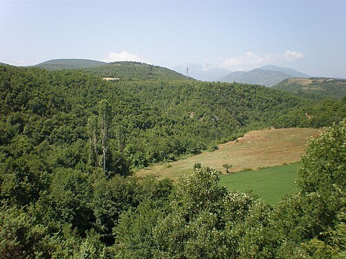 Golešnica
