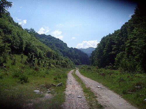 Paril Saddle