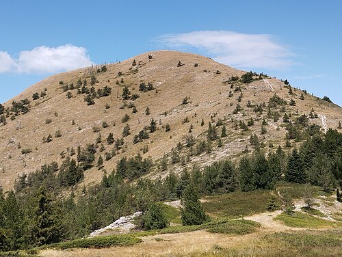 Sveshtnik