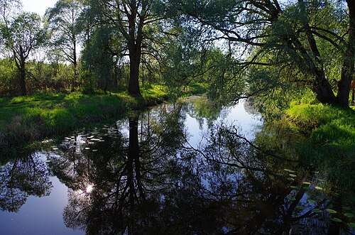 Ilmatsalu River