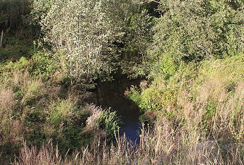 Jumara River