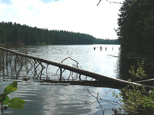 Palojärv